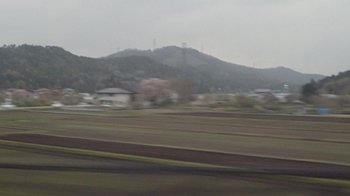180408車窓からの桜.jpg